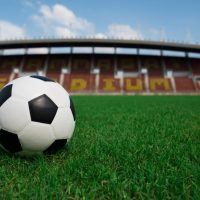 cat-football-pitch